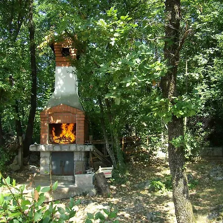 Kinkela